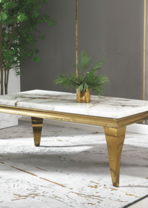Marmo Coffee Table