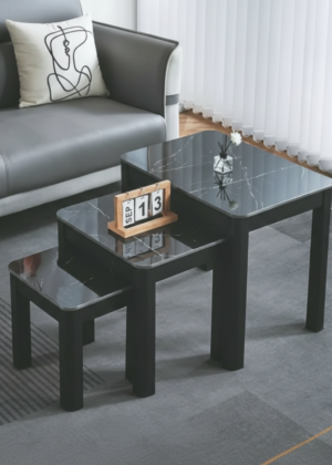 Euphoria Nest 3 Coffee Table